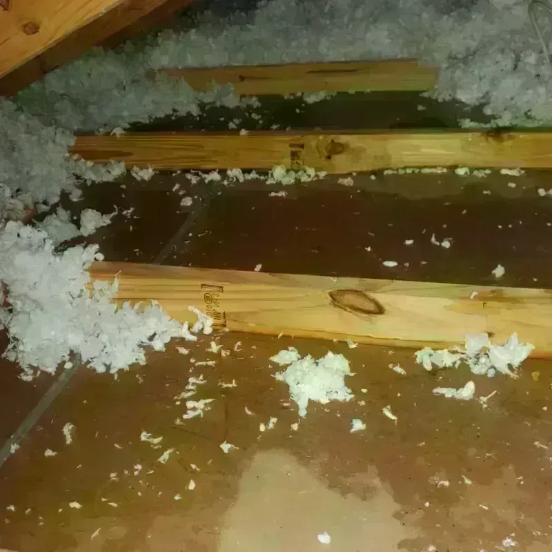 Attic Water Damage in Davis, CA