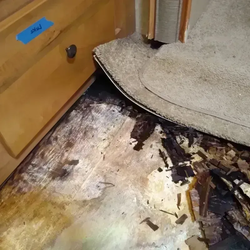 Wood Floor Water Damage in Davis, CA